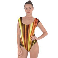 Energy Flash Futuristic Glitter Short Sleeve Leotard  by Dutashop