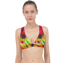 Illustrations Structure Lines Classic Banded Bikini Top