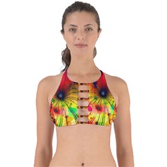 Illustrations Structure Lines Perfectly Cut Out Bikini Top