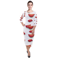 Summer Watermelon Pattern Quarter Sleeve Midi Velour Bodycon Dress by Dutashop