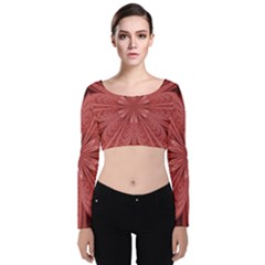 Background Floral Pattern Velvet Long Sleeve Crop Top by Dutashop