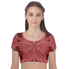 Background Floral Pattern Velvet Short Sleeve Crop Top  by Dutashop