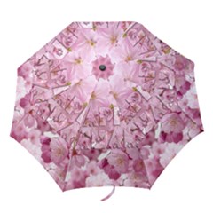 Cherry Blossom Photography Happy Hanami Sakura Matsuri Folding Umbrellas