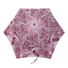 Cherry Blossom Photography Happy Hanami Sakura Matsuri Mini Folding Umbrellas