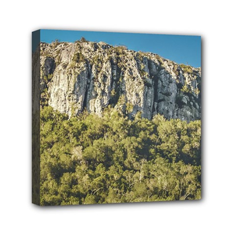 Arequita National Park, Lavalleja, Uruguay Mini Canvas 6  X 6  (stretched) by dflcprintsclothing