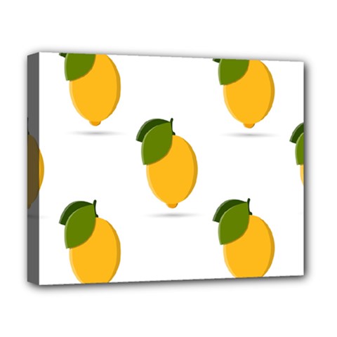 Lemon Fruit Deluxe Canvas 20  X 16  (stretched) by Dutashop