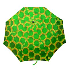 Hexagon Window Folding Umbrellas by essentialimage365