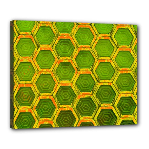 Hexagon Windows Canvas 20  X 16  (stretched) by essentialimage365