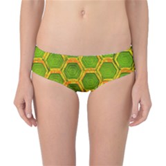 Hexagon Windows Classic Bikini Bottoms by essentialimage365