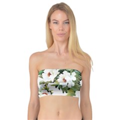 ?hamomile Bandeau Top by goljakoff