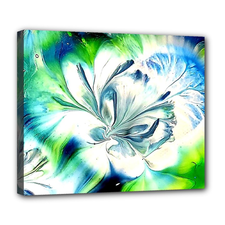 1lily 1lily Deluxe Canvas 24  x 20  (Stretched)