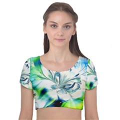 1lily Velvet Short Sleeve Crop Top  by BrenZenCreations