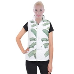 Banana Leaf Women s Button Up Vest by goljakoff