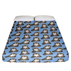 Cats Catty Fitted Sheet (queen Size) by Sparkle