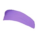 Amethyst Purple Stretchable Headband View1