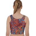 Phoenix in the Rain Abstract Pattern Velvet Racer Back Crop Top View2