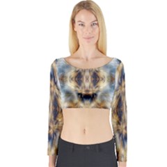 Retro Hippie Vibe Psychedelic Silver Long Sleeve Crop Top