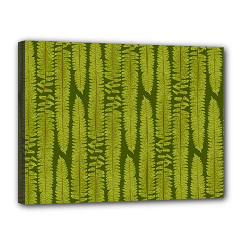 Fern Texture Nature Leaves Canvas 16  X 12  (stretched) by Dutashop