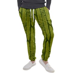 Fern Texture Nature Leaves Men s Jogger Sweatpants by Dutashop