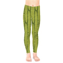 Fern Texture Nature Leaves Kids  Leggings by Dutashop