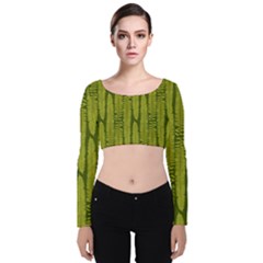 Fern Texture Nature Leaves Velvet Long Sleeve Crop Top by Dutashop