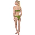 Fern Texture Nature Leaves Classic Bandeau Bikini Set View2