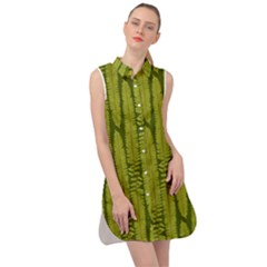 Fern Texture Nature Leaves Sleeveless Shirt Dress by Dutashop