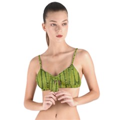 Fern Texture Nature Leaves Tie Up Cut Bikini Top