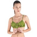 Fern Texture Nature Leaves Tie Up Cut Bikini Top View1