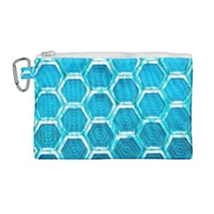 Hexagon Windows Canvas Cosmetic Bag (large) by essentialimage365