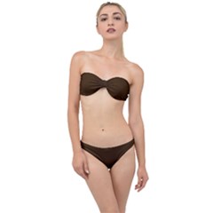 Brunette Brown Classic Bandeau Bikini Set by FabChoice