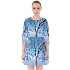 Crystal Blue Tree Smock Dress by icarusismartdesigns