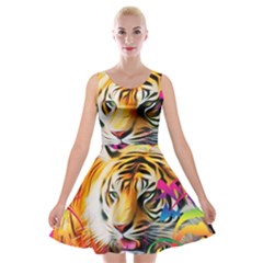 Tiger In The Jungle Velvet Skater Dress