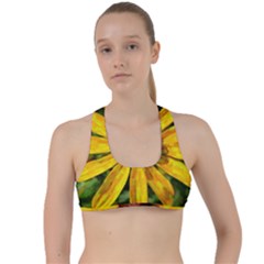 Sunflower Painting Criss Cross Racerback Sports Bra by ExtraGoodSauce