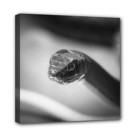 Black And White Snake Mini Canvas 8  X 8  (stretched) by ExtraGoodSauce