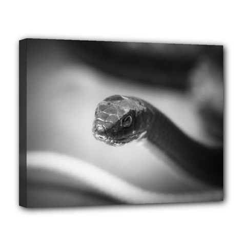 Black And White Snake Canvas 14  X 11  (stretched) by ExtraGoodSauce