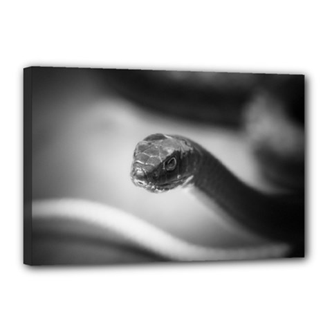 Black And White Snake Canvas 18  X 12  (stretched) by ExtraGoodSauce