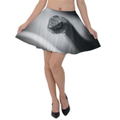 Black And White Snake Velvet Skater Skirt by ExtraGoodSauce