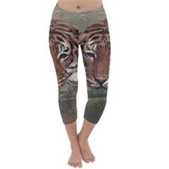 Swimming Tiger Capri Winter Leggings  by ExtraGoodSauce