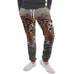 Swimming Tiger Men s Jogger Sweatpants by ExtraGoodSauce