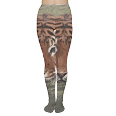 Swimming Tiger Tights by ExtraGoodSauce