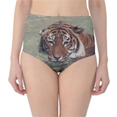 Swimming Tiger Classic High-waist Bikini Bottoms by ExtraGoodSauce