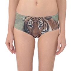 Swimming Tiger Mid-waist Bikini Bottoms by ExtraGoodSauce