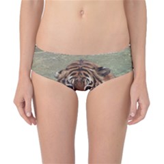 Swimming Tiger Classic Bikini Bottoms by ExtraGoodSauce