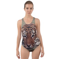 Swimming Tiger Cut-out Back One Piece Swimsuit by ExtraGoodSauce