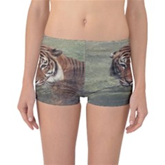 Swimming Tiger Reversible Boyleg Bikini Bottoms by ExtraGoodSauce