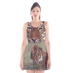 Swimming Tiger Scoop Neck Skater Dress by ExtraGoodSauce