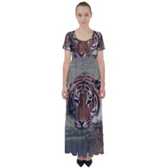 Swimming Tiger High Waist Short Sleeve Maxi Dress by ExtraGoodSauce