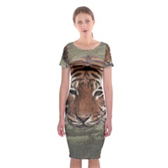 Swimming Tiger Classic Short Sleeve Midi Dress by ExtraGoodSauce