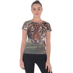 Swimming Tiger Short Sleeve Sports Top  by ExtraGoodSauce